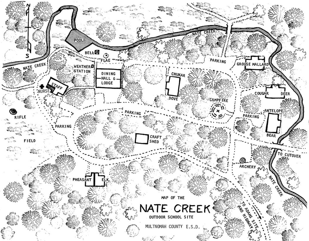 Old Nate Creek site map
